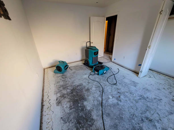 Best Water damage contractors near me  in Westville, NJ