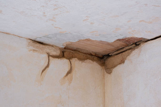 Best Flooded house restoration  in Westville, NJ