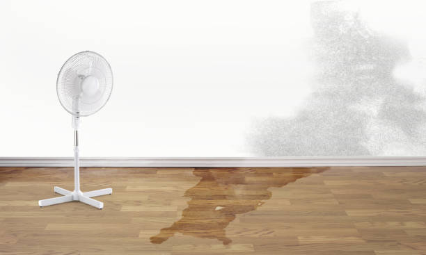 Best 24/7 water damage repair  in Westville, NJ