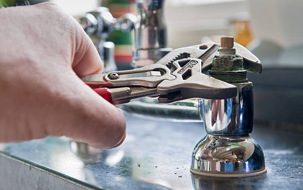 Best Mold removal after water damage  in Westville, NJ