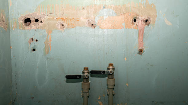 Best Water damage restoration near me  in Westville, NJ