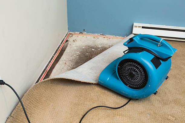 Best Emergency water damage restoration  in Westville, NJ